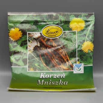 Korzeń mniszka